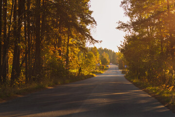 Obraz premium Autumn landscape, road and highway, asphalt and roadside.