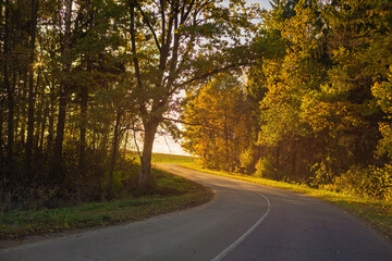 Obraz premium Autumn landscape and sunny evening, orange road and highway, asphalt and roadside.