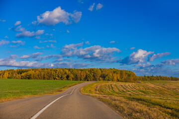 Fototapeta premium Autumn landscape, road and highway, asphalt and roadside.