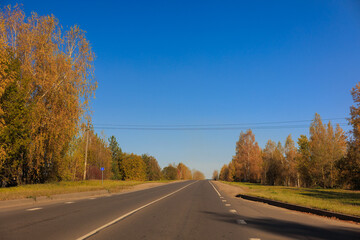 Fototapeta premium Autumn landscape, road and highway, asphalt and roadside.
