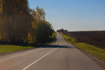 Fototapeta premium Autumn landscape, road and highway, asphalt and roadside.