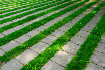 Grass lines symmetrical arrangement between concrete slabs lines in public city square