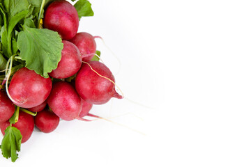 Close up of fresh red radishes bundle. Vibrant bunch of radishes isolated on the white background. Low calorie, crisp, vitamin-rich vegetables. Copy space.