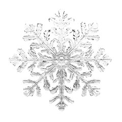 PNG Snowflake decoration intricate.