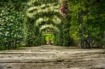 Fototapete bei efototapeten.de bestellen   