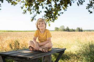 fair-haired 5 year old boy sitting on a table, close-up portrait on a sunny summer day against the backdrop of a wheat field and sky  © Tatsiana