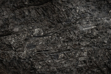 Shiny black nickel–iron meteorite surface with relief Widmanstatten patterns © evannovostro