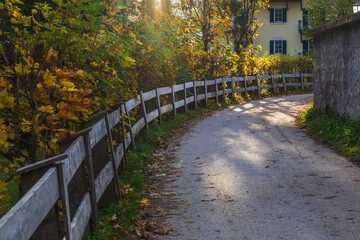 A dirt road bordered by a wooden railing leading between the forest and houses, illuminated by the setting sun.