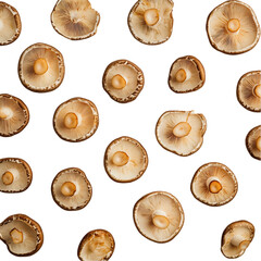 Champignon mushroom