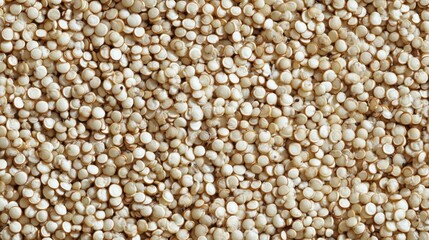Fototapeta premium A close-up view of numerous small, round, light-colored seeds.