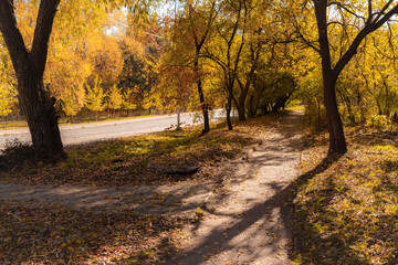 Pathway through a peaceful autumn park surrounded by colorful yellow and orange foliage.