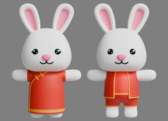 Fototapeta premium 12 Chinese Zodiac Sign 3D Rendered, Year of the Rabbit