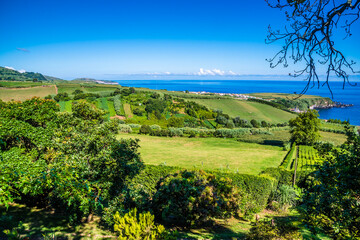 Fototapete bei efototapeten.de bestellen   