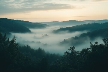 Fototapeta premium Foggy Valley Landscape