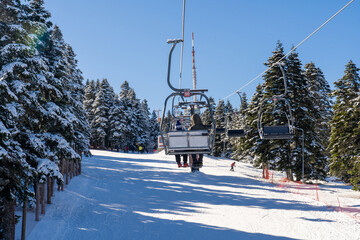 In Uludağ, people riding chairlift (teleski) on and ski among the pine trees. Uludağ is the most...