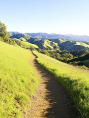 Fototapeta premium Winding Path Through Grassy Hills: A Scenic Mountain Landscape