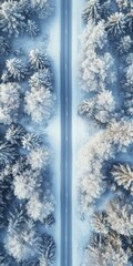 Aerial View of a Snowy Forest Road in Winter