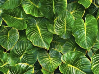 Tropical Leaves Texture: Lush Green Foliage Background