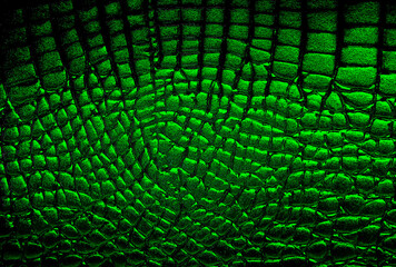 Background of green crocodile skin pattern. Alligator genuine leather background, reptile.