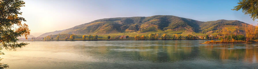 Golden sunrise illuminating colorful vineyards on the hills of the danube river with reflections on the water surface in autumn, mautern an der donau, wachau valley, lower austria