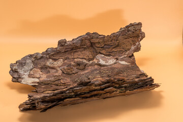 Natural Texture: Peach Background with Mountain Pine Bark, basis for original composition. Copy...