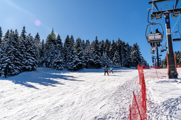 In Uludağ, people riding chairlift (teleski) on and ski among the pine trees. Uludağ is the most...