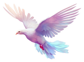 Obraz premium PNG A dove flying in the sky animal white bird.