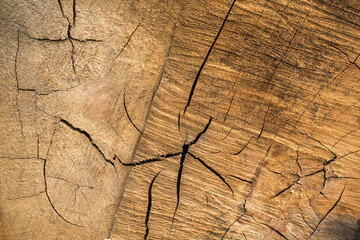 arrière plan avec une texture de bois pour une image graphique, texture, bois