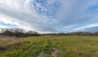 Obraz premium A field of grass with a cloudy sky in the background