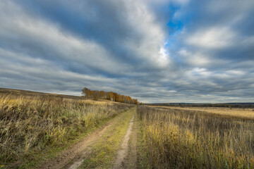 A road runs through a field of tall grass
