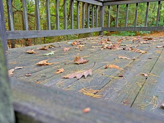 Fallen autumn oak leaves litter wood deck in messy yard