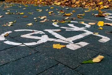 Bicycle path covered with fallen leaves. Bicycle signs painted in white on the tiles of the path in the autumn park