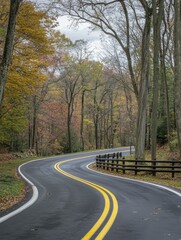 Fototapeta premium Winding Road Through Autumn Forest - Scenic Drive in Fall