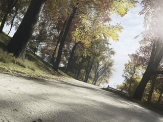 Fototapeta premium Autumn Forest Path: Sunlight Through Golden Leaves
