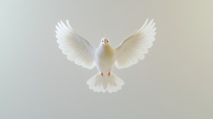 Fototapeta premium Majestic white dove in flight with wings spread wide