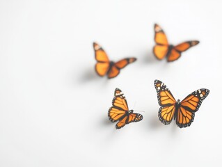 Obraz premium Vibrant orange butterflies in flight against a white background