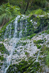 Lush, moss-covered rock face with water gently cascading down.