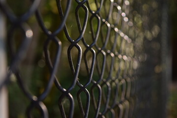 fence