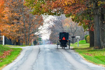 Amish Buggy on Rural Road in Autumn