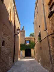 Timeless Alley with Ivy and Stone