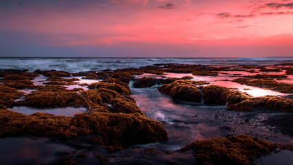 Obraz premium View of coral reefs when the sea water is receding