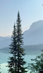 lake tahoe state