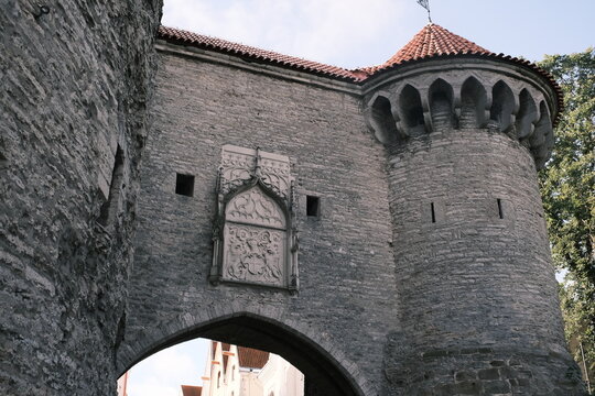エストニア海洋博物館、タリン：The Paks Margareeta or Fat Margaret, an ancient defensive tower in Tallinn