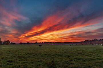 Twilight over farm pasture