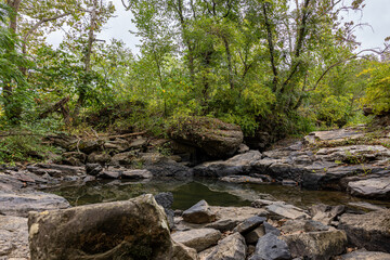 Obraz premium Forest Refuge: Rocky Stream and Pools