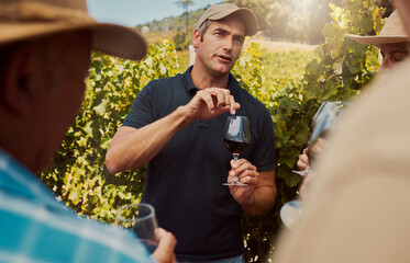 Explain, farm and wine tasting with sommelier talking to customer people in vineyard for...