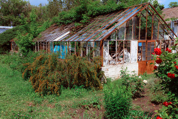 Vintage greenhouse with broken windows. An old greenhouse for the study of rare plants. Broken windows theory. Growing sustainable products in your home greenhouse.