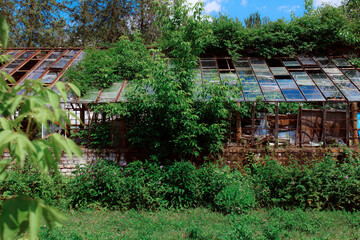 Vintage greenhouse with broken windows. An old greenhouse for the study of rare plants. Broken...