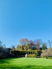 NEW YORK - November 14, 2020: fall foliage in conservatory garden in Central Park