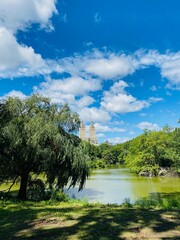 Obraz premium NEW YORK - August 30, 2020: the pond in Central Park surrounded by greenery on a sunny day